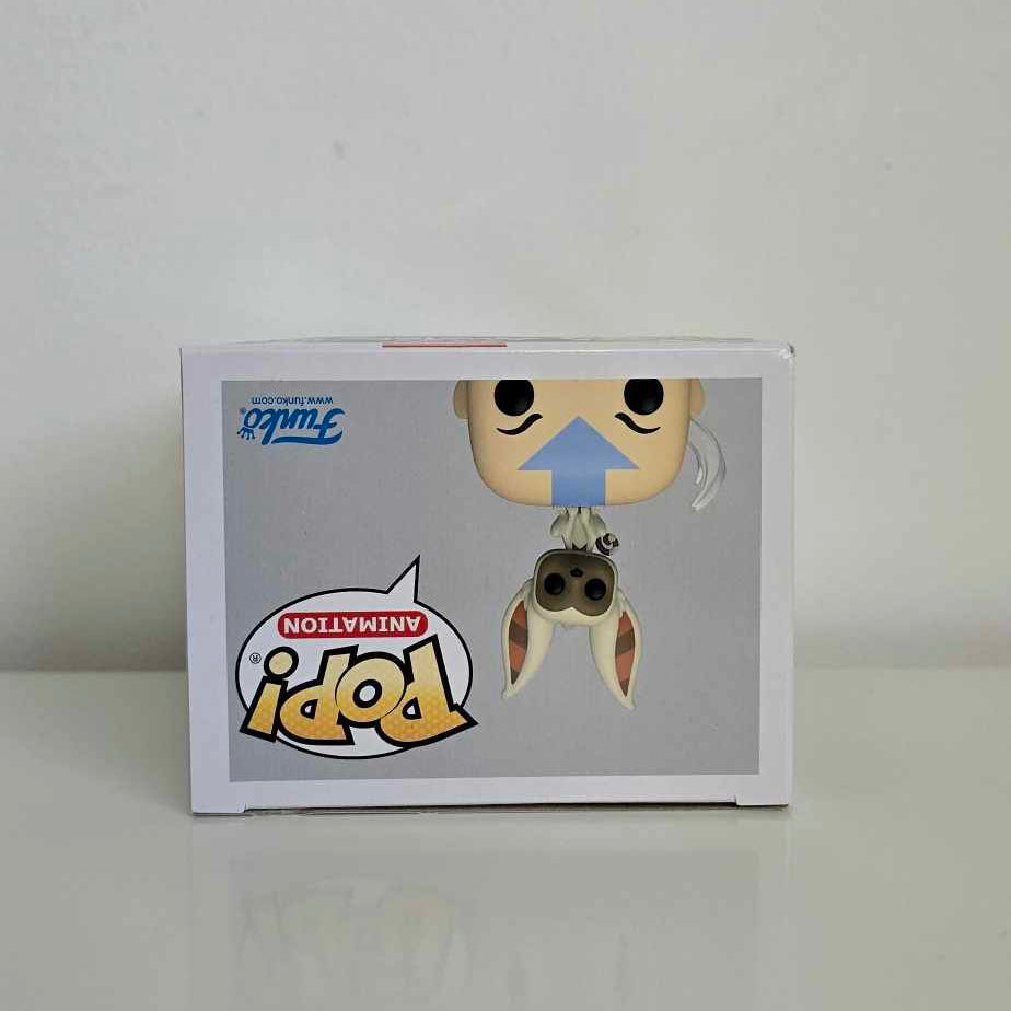 Funko Pop! Avatar The Last Airbender - Aang With Momo #534 - Damaged