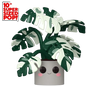 Funko Pop - Kawaii Plants - Monstera Jumbo 10-Inch -  Only 1 Available